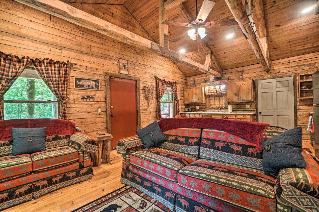 Вілла North Georgia Mtn Escape With Hot Tub And Games! Sautee Nacoochee Екстер'єр фото